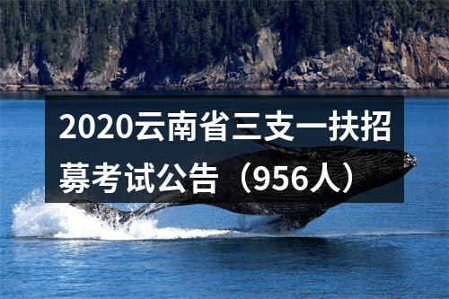 2020云南省三支一扶招募考试公告（956人） 图片