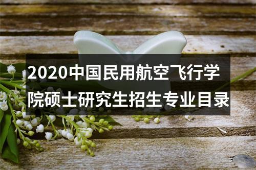 2020中国民用航空飞行学院硕士研究生招生专业目录 图片