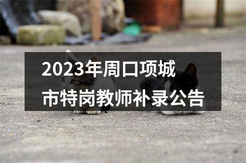2023年周口项城市特岗教师补录公告 图片