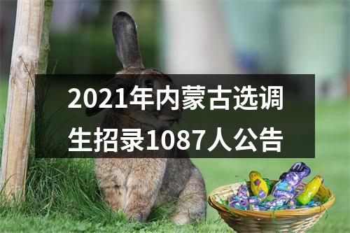 2021年内蒙古选调生招录1087人公告 图片