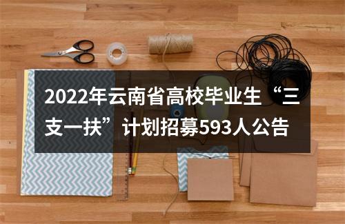 2022年云南省高校毕业生“三支一扶”计划招募593人公告 图片