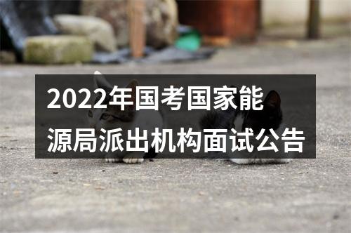 2022年国考国家能源局派出机构面试公告 图片