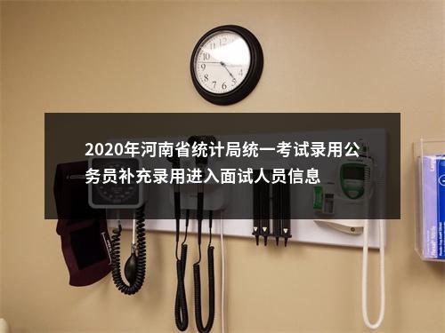 2020年河南省统计局统一考试录用公务员补充录用进入面试人员信息 图片