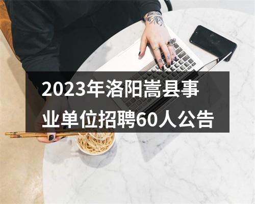 2023年洛阳嵩县事业单位招聘60人公告 图片