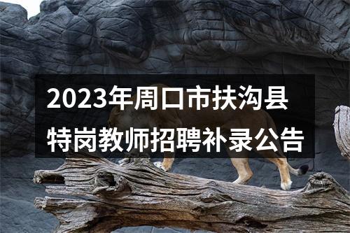 2023年周口市扶沟县特岗教师招聘补录公告 图片
