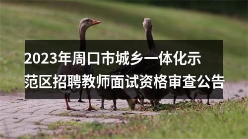 2023年周口市城乡一体化示范区招聘教师面试资格审查公告 图片