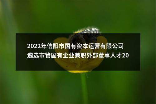 2022年信阳市国有资本运营有限公司遴选市管国有企业兼职外部董事人才20人公告 图片