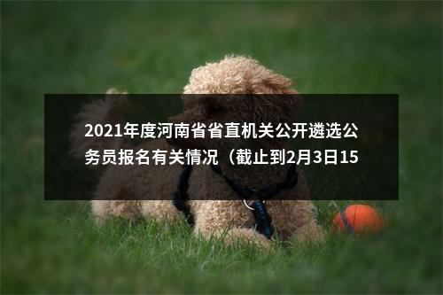 2021年度河南省省直机关公开遴选公务员报名有关情况（截止到2月3日15点） 图片