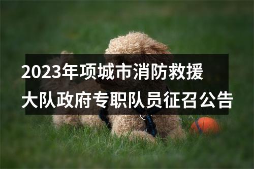2023年项城市消防救援大队政府专职队员征召公告 图片