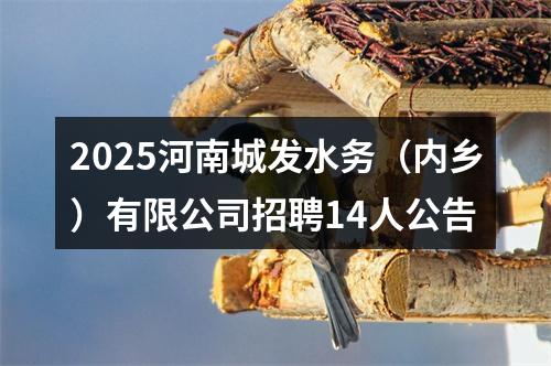 2025河南城发水务（内乡）有限公司招聘14人公告 图片